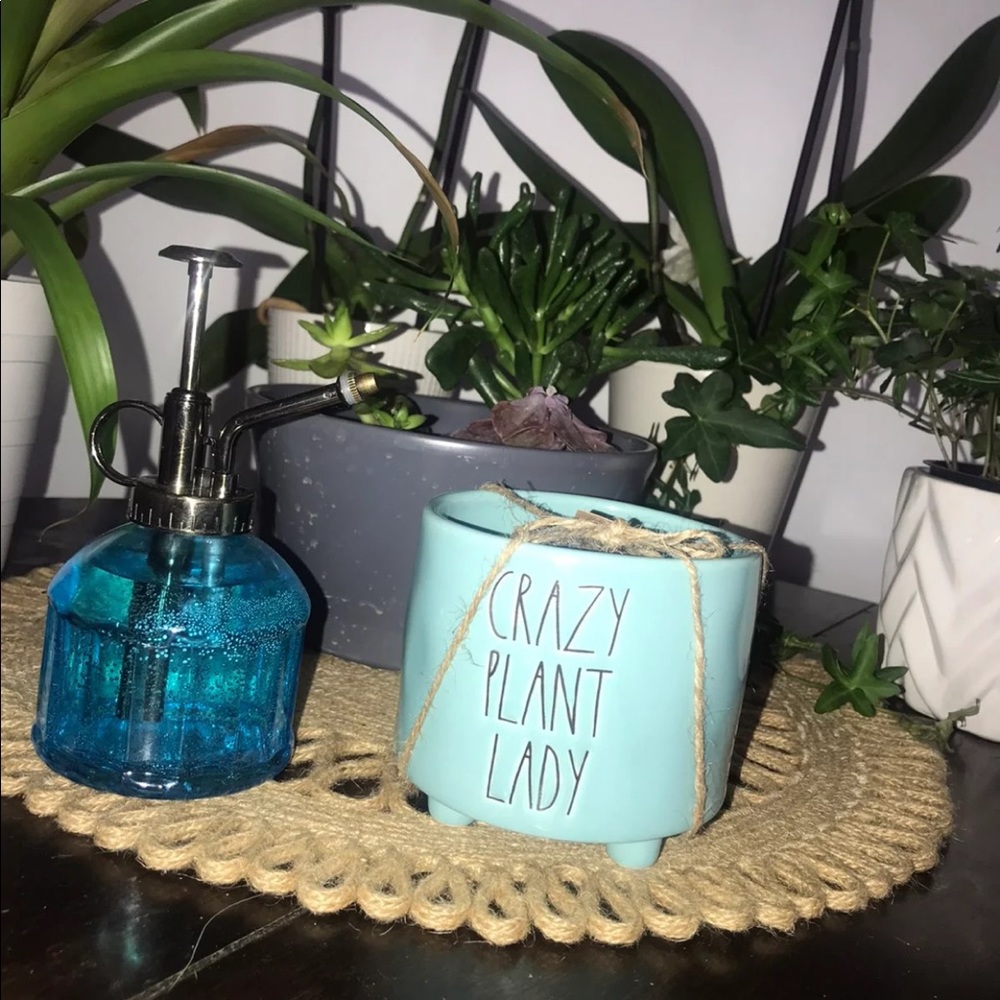 Plant Pot